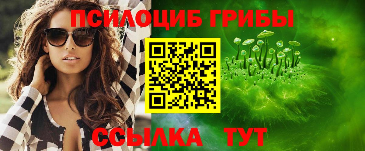 Ухта  Псилоцибиновые грибы прущие грибы  Вход с VPN 
